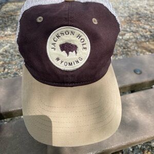 🎀💦 ZEPHYR Cap Brown and Tan Jackson Hole Wyoming Unisex